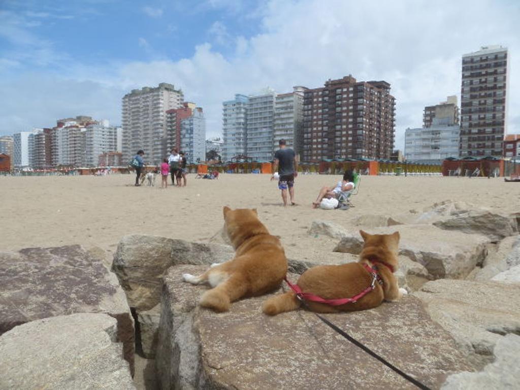 Seaside Miramar * Miramar (Buenos Aires)